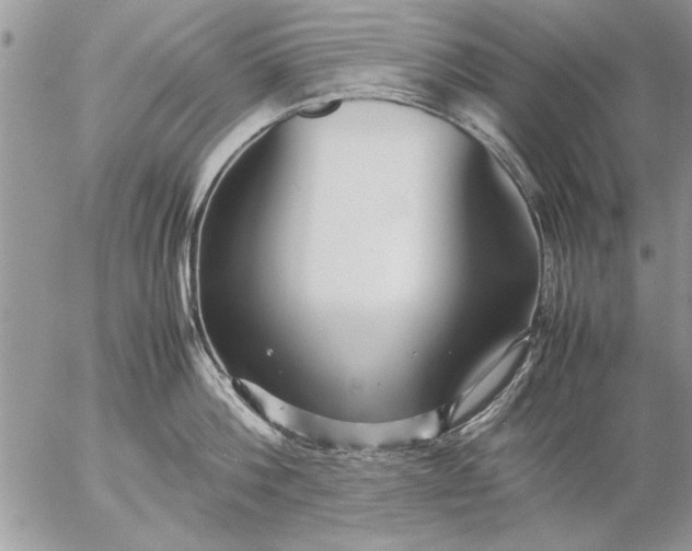 X0000057060812200509231530