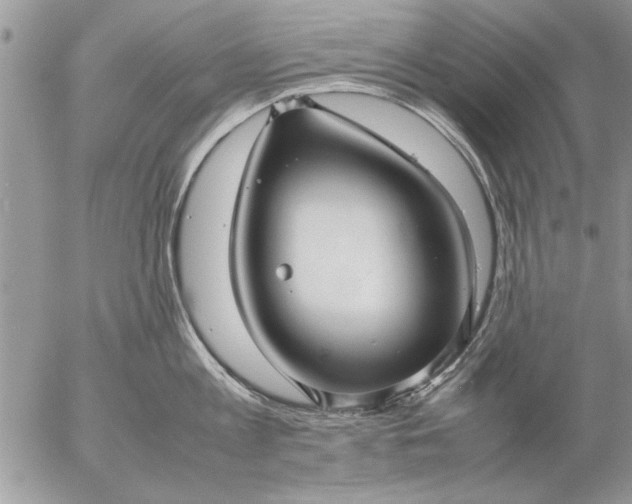 X0000057060813200509231530