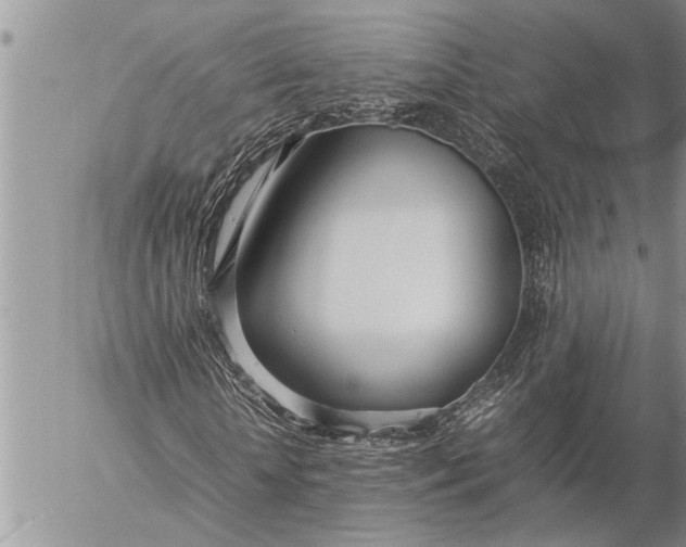 X0000057060818200509231529