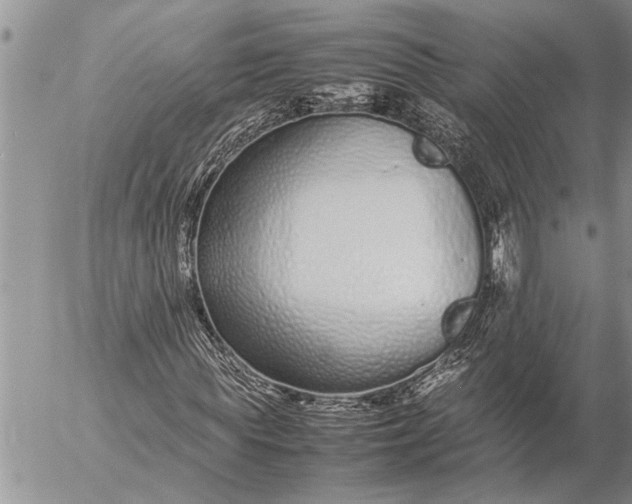 X0000057060819200509231530