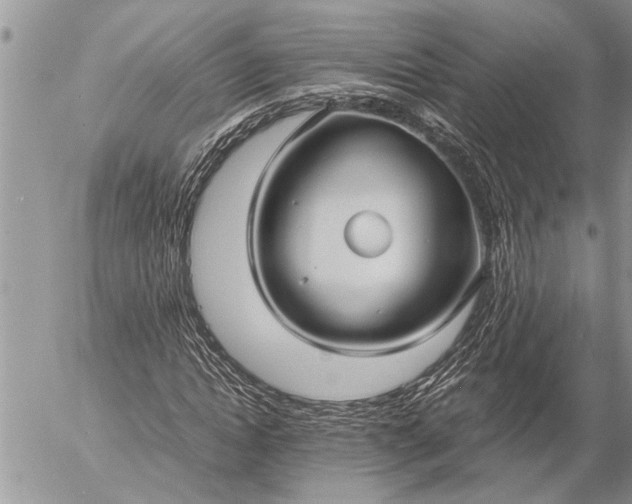 X0000057060822200509231530