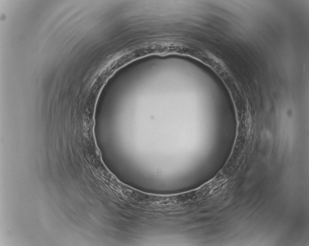 X0000057060823200509231530