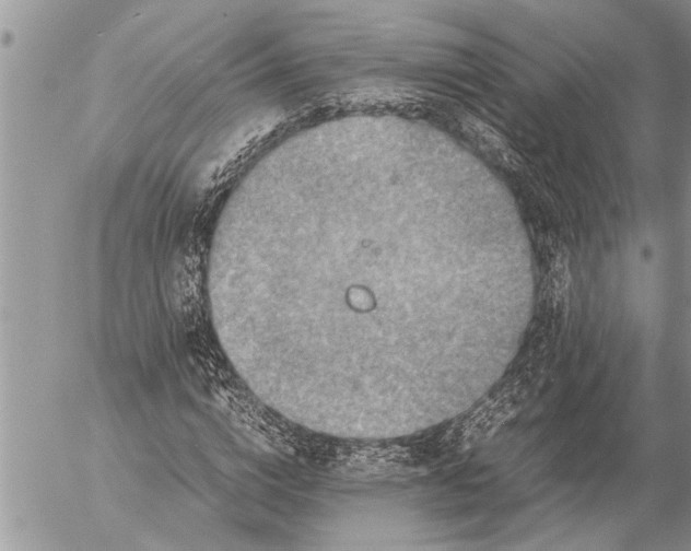 X0000057060824200509231530