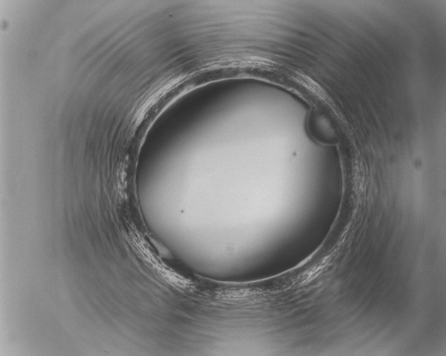 X0000057060826200509231530