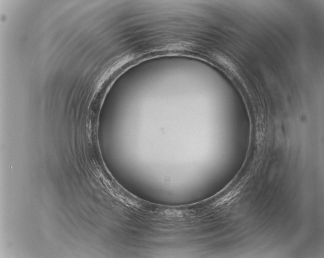 X0000057060827200509231530