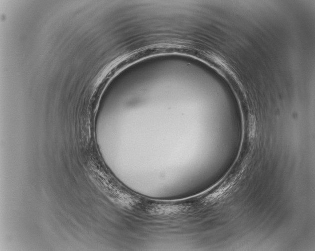 X0000057060829200509231530