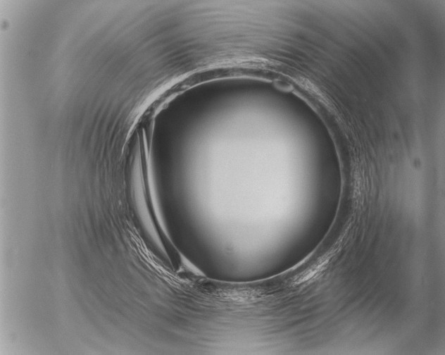 X0000057060830200509231530