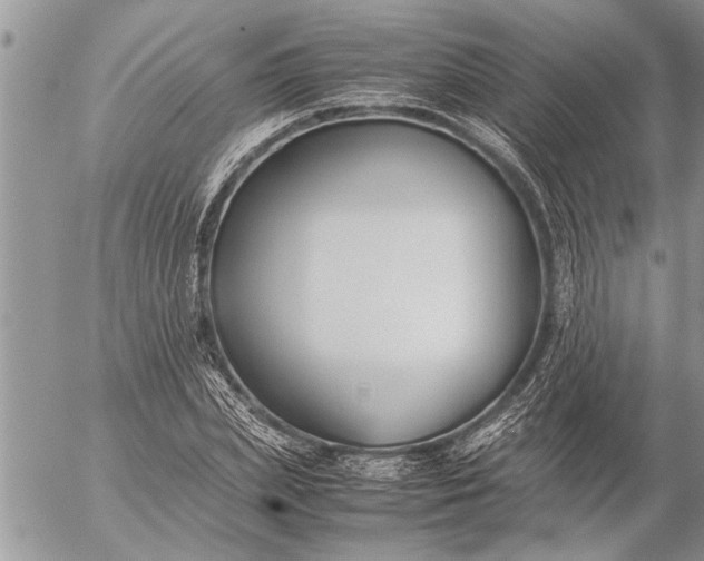 X0000057060831200509231530