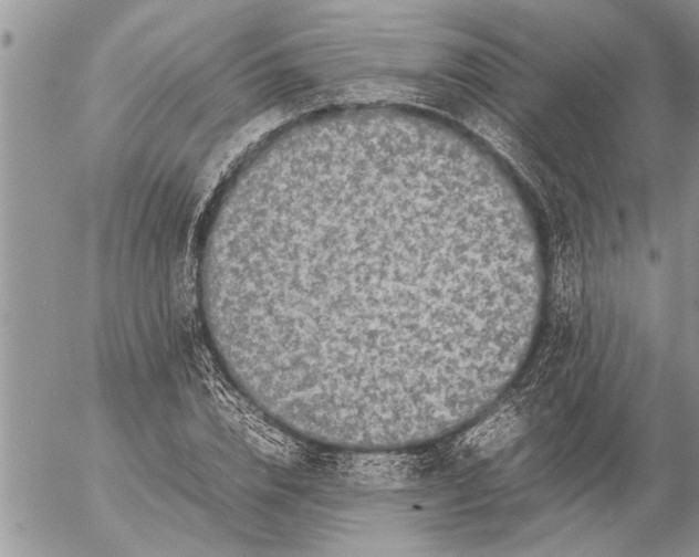 X0000057060832200509231530