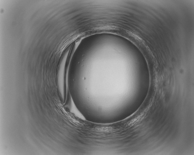 X0000057060833200509231530