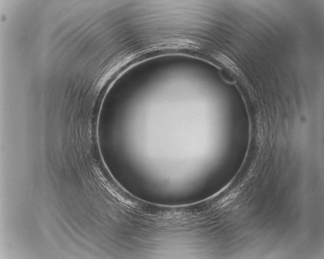 X0000057060834200509231530