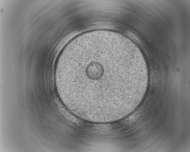 X0000057060836200509231530