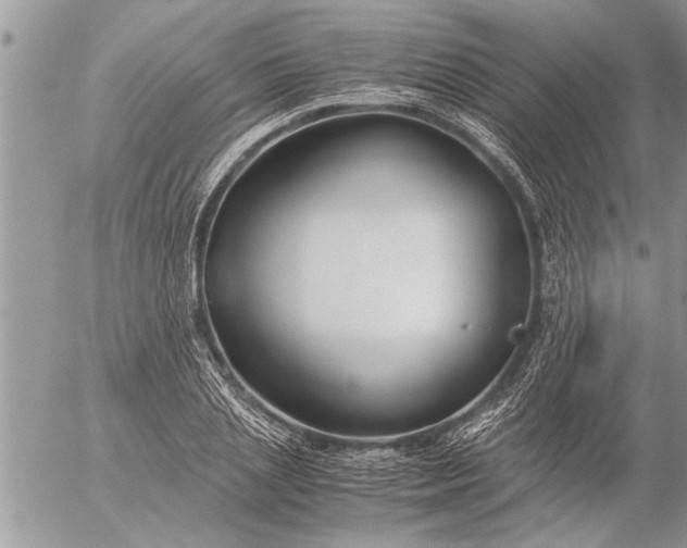 X0000057060837200509231530