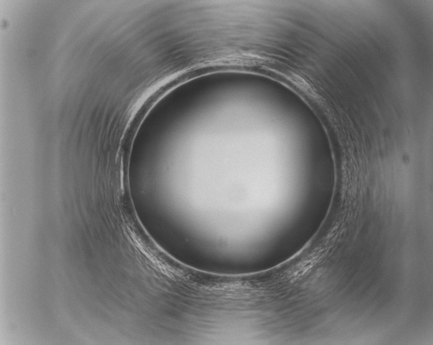 X0000057060838200509231530