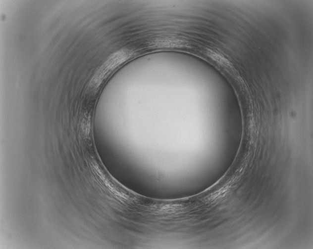 X0000057060841200509231530