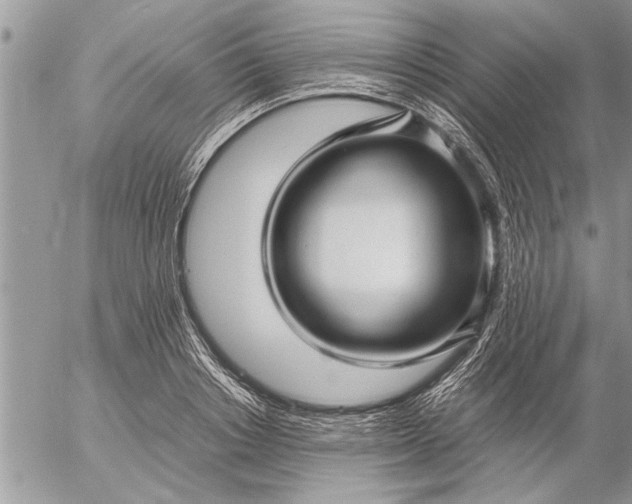 X0000057060842200509231530