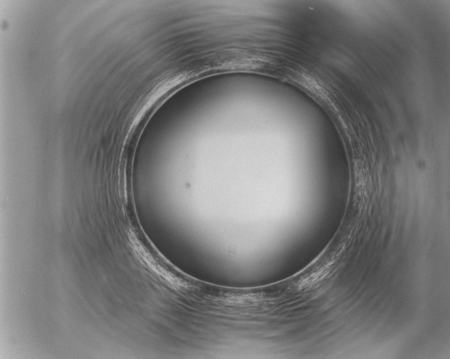 X0000057060843200509231530