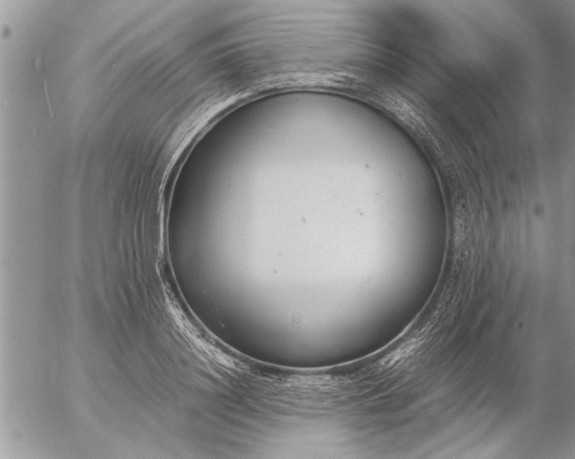 X0000057060844200509231530