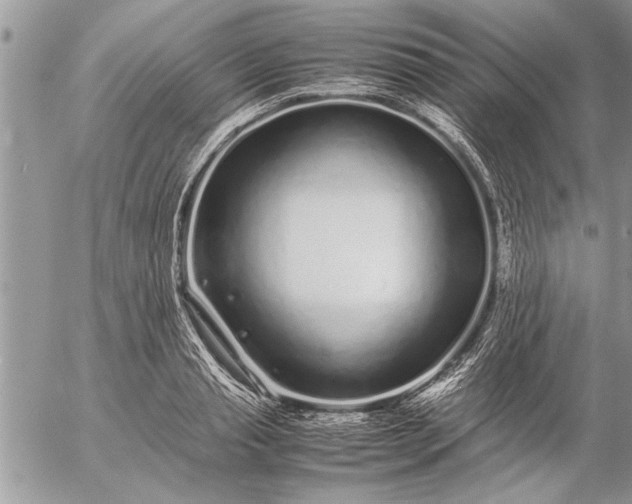 X0000057060845200509231530