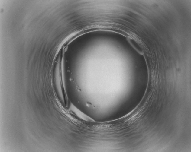 X0000057060846200509231530