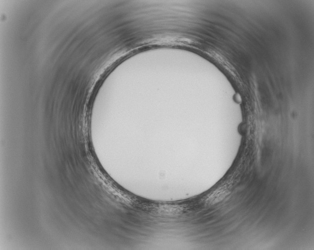 X0000057060848200509231530