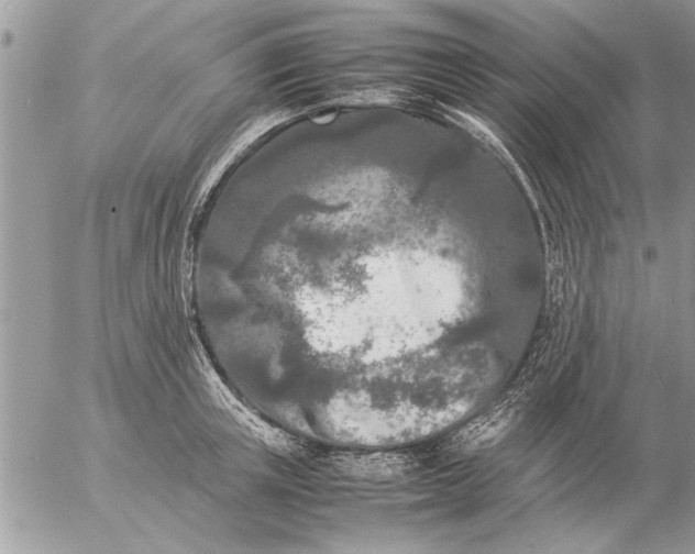 X0000057060851200509231530