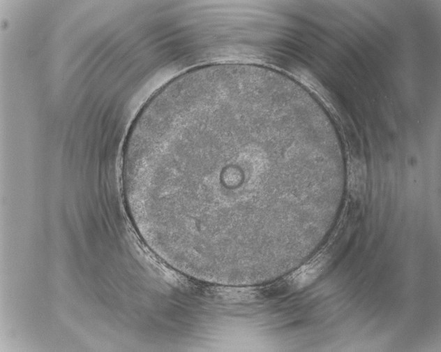 X0000057060856200509231530