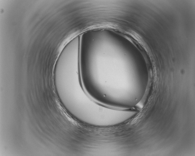 X0000057060858200509231530