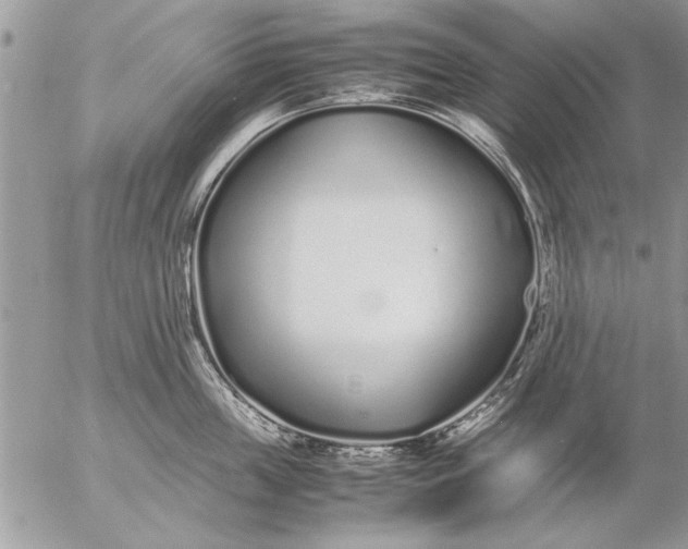 X0000057060859200509231530