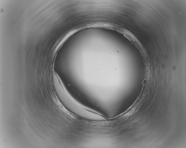 X0000057060860200509231530