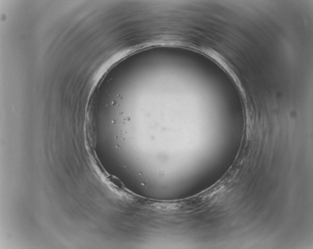 X0000057060861200509231530