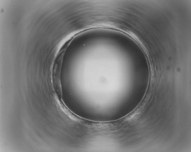 X0000057060862200509231530