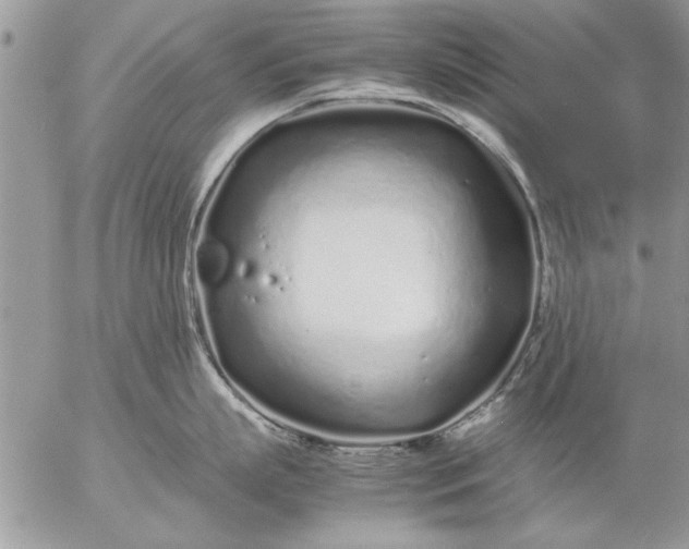 X0000057060863200509231530