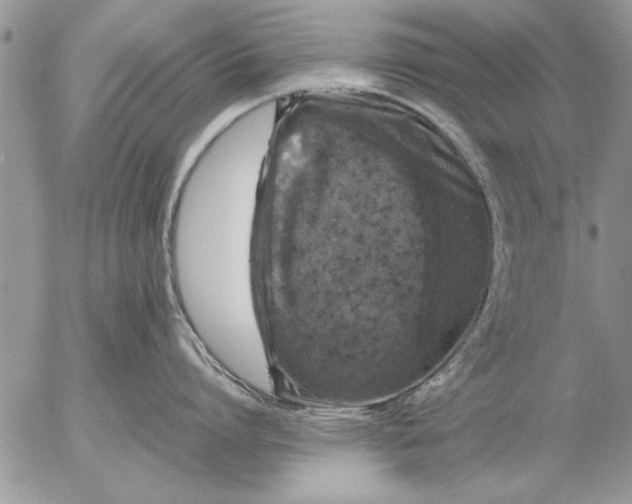 X0000057060864200509231530