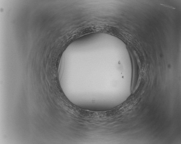 X0000057060865200509231529