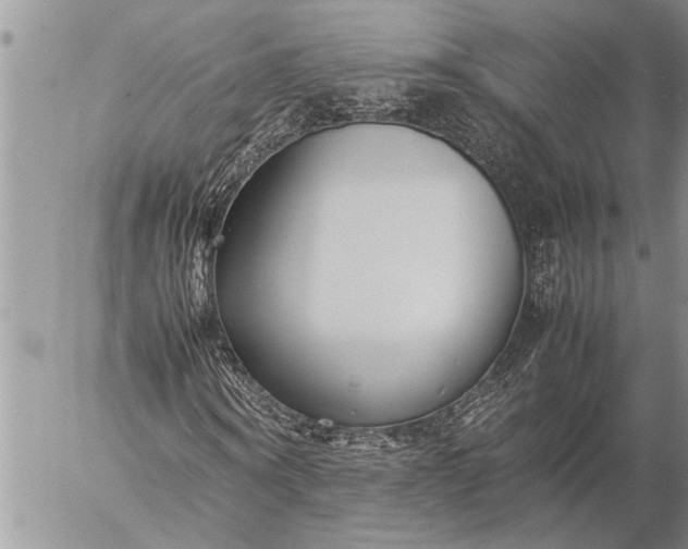 X0000057060866200509231529