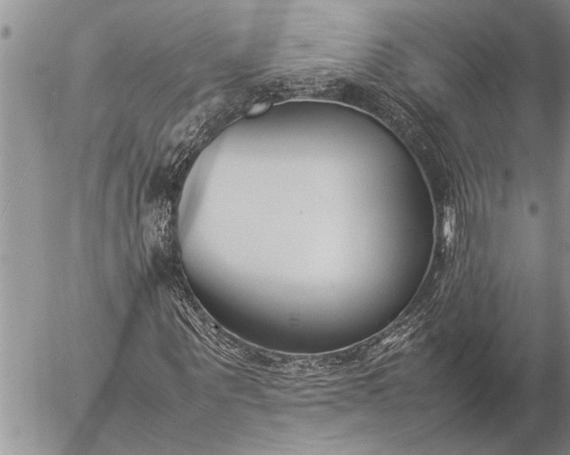 X0000057060867200509231529