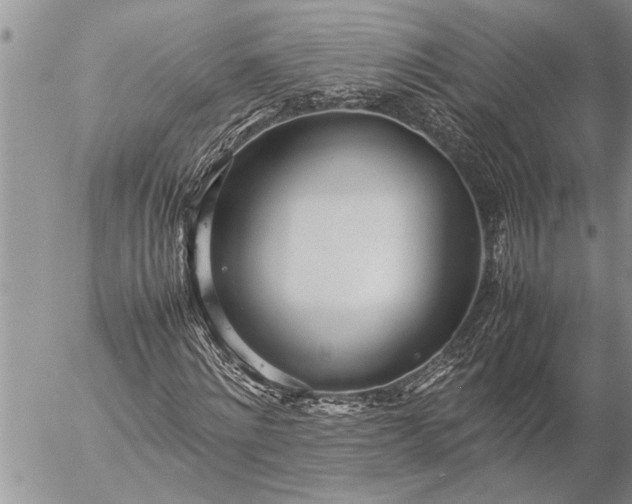 X0000057060868200509231529