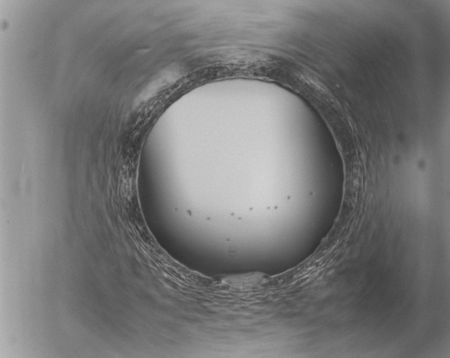 X0000057060869200509231529