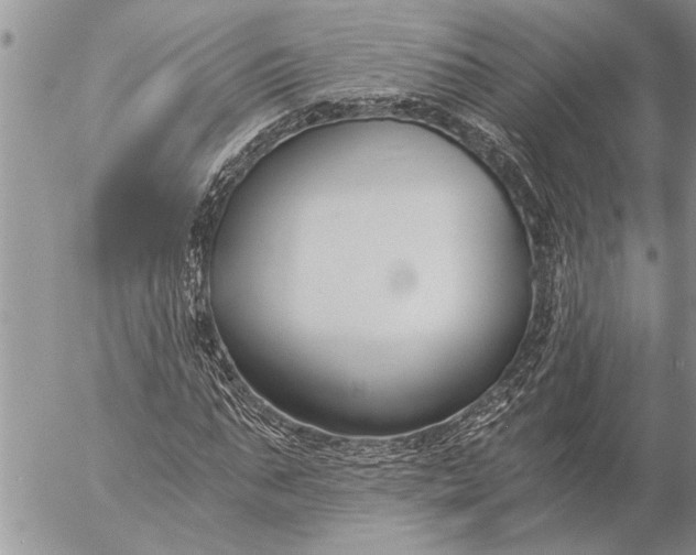 X0000057060871200509231529