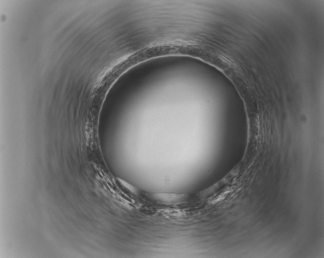 X0000057060872200509231529