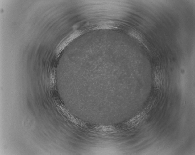 X0000057060874200509231529