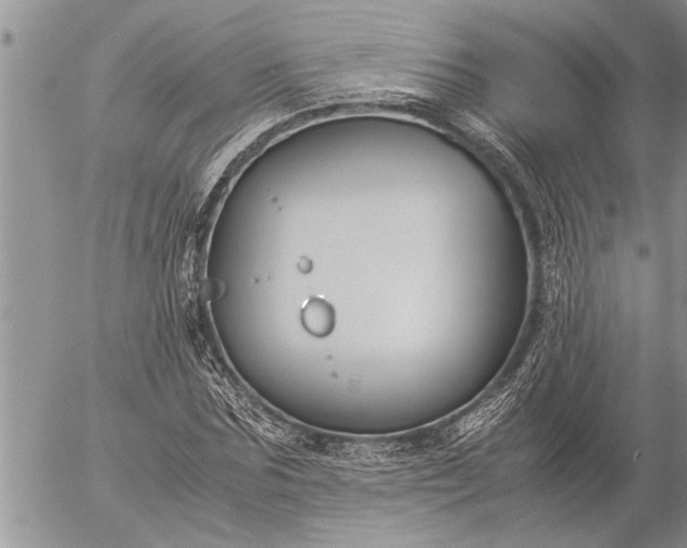 X0000057060875200509231529