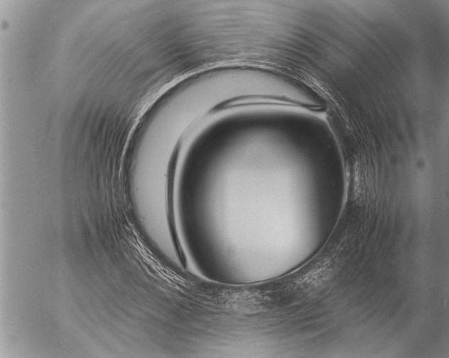 X0000057060876200509231529