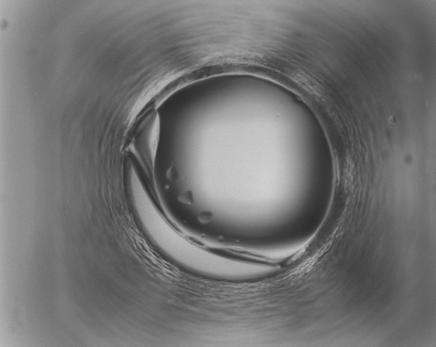 X0000057060877200509231529