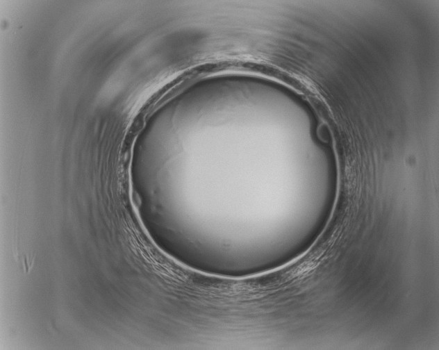 X0000057060879200509231529