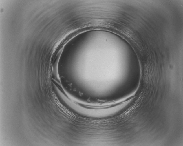 X0000057060880200509231529