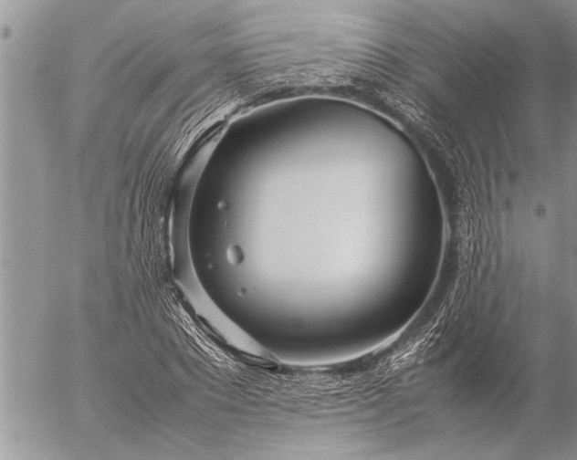 X0000057060881200509231529