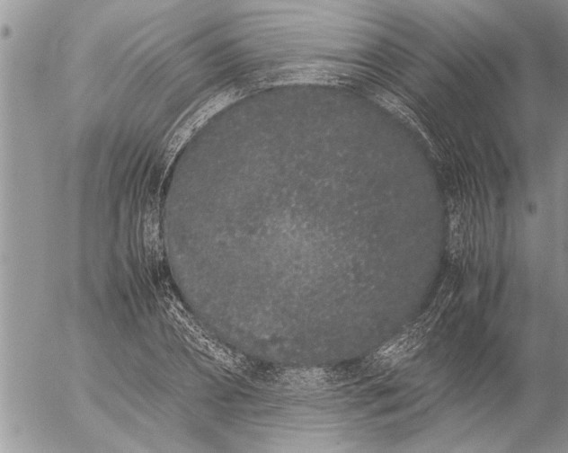 X0000057060882200509231529