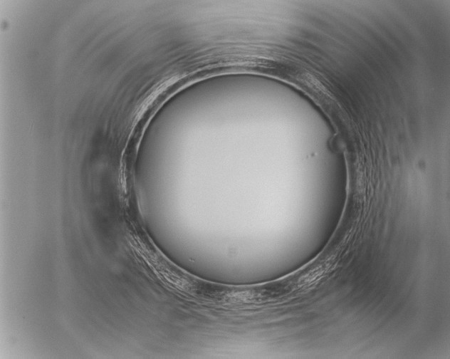 X0000057060883200509231529